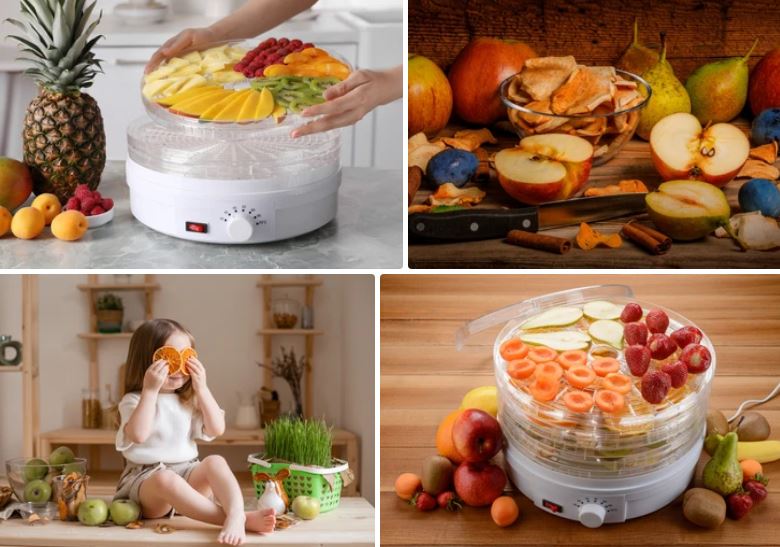میوه خشک کن گازی بهتره یا برقی | راهنمای ویژه خرید 1 میوه خشک کن گازی بهتره یا برقی