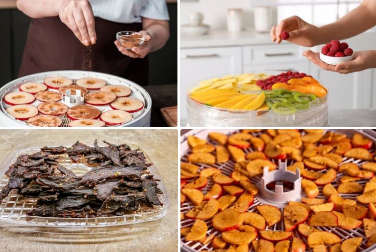میوه خشک کن گازی بهتره یا برقی | راهنمای ویژه خرید 5 خشک کن