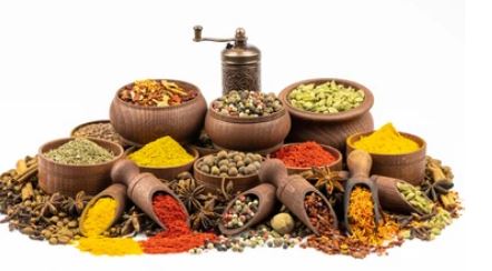 کسب درآمد با راه اندازی خط تولید ادویه جات 1 راه اندازی خط تولید ادویه جات