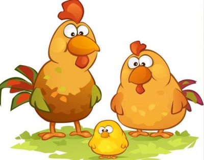 تفاوت دستگاه جوجه کشی معمولی و حرفه ای 4 دستگاه جوجه کشی جوجه و مرغ