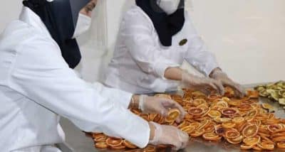 اپراتور کارگاه میوه خشک کنی