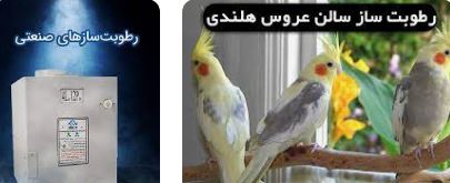10 نکته مهم برای انتخاب بهترین رطوبت ساز سالن پرنده 3 دستگاه جوجه کشی