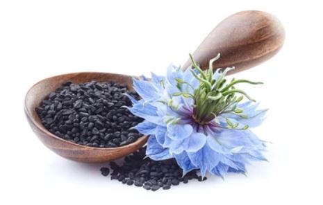 آموزش صفر تا 100 روغن گیری سیاه دانه با دستگاه روغن گیری + مزایا، معایب 5 دانه سیاه دانه