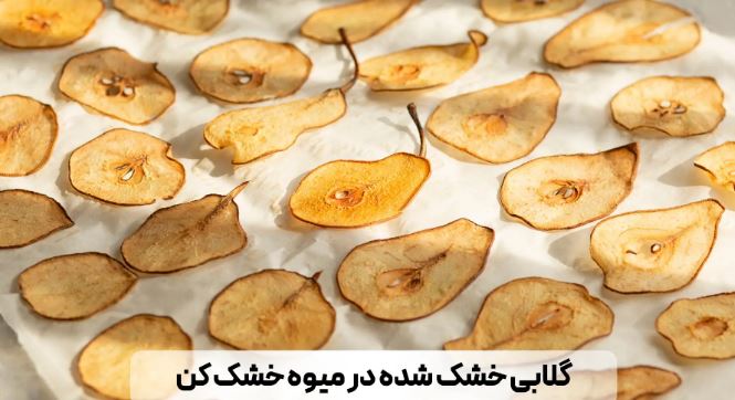 نقش ازن در نگهداری از مواد غذایی + افزایش ماندگاری و حفظ کیفیت مواد 1 نقش ازن در نگهداری از مواد غذایی - آریا تجهیزات