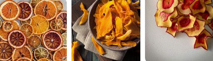 انواع ترکیبات آجیل + میوه خشک 5 تهیه انواع میوه خشک با دستگاه خشک کن