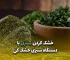 خشک کردن سبزی با دستگاه سبزی خشک کن آریاتجهیزات