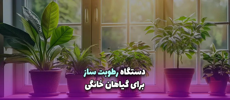 دستگاه رطوبت ساز برای گیاهان خانگی آریاتجهیزات
