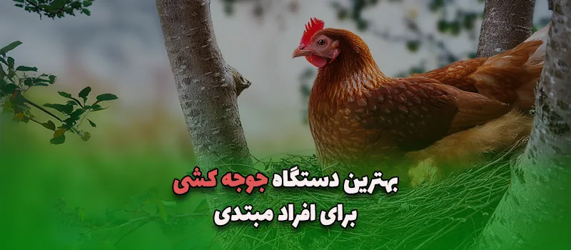بلاگ 21 بهترین دستگاه جوجه کشی برای افراد مبتدی آریاتجهیزات