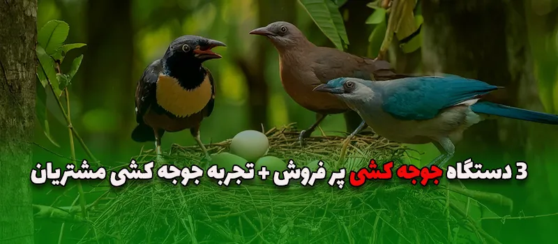 بلاگ 22 3 دستگاه جوجه کشی پر فروش + تجربه جوجه کشی مشتریان